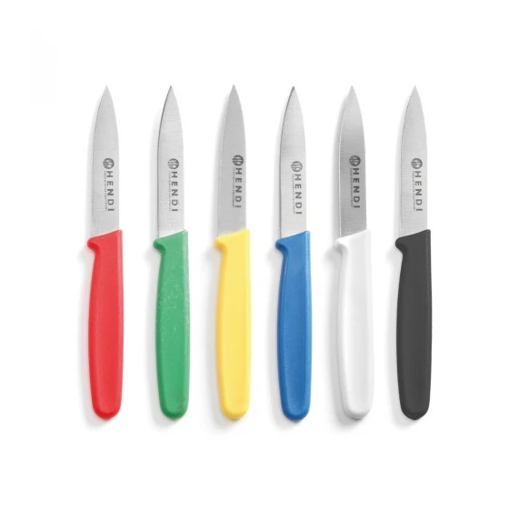 Cutit Ceramic, Dimensiune 22 cm, Lama 10 cm, Maner Multicolor