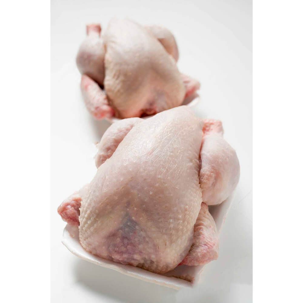 Set 500 Tavite Polistiren CT2 STD Albe, 210x165x23 mm