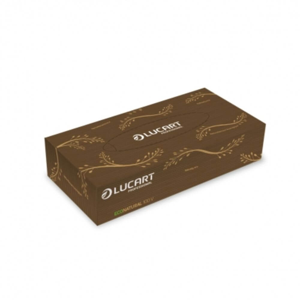 Cutie Servetele Fata Lucart Eco in 2 Straturi, 21x20 cm, 100 Servetele/Cutie, Servetele Demachiante Uscate, Servetele Uscate la Cutie Lucart Eco Natural, Servetele Faciale la Cutie, Produse Curatenie Hartie