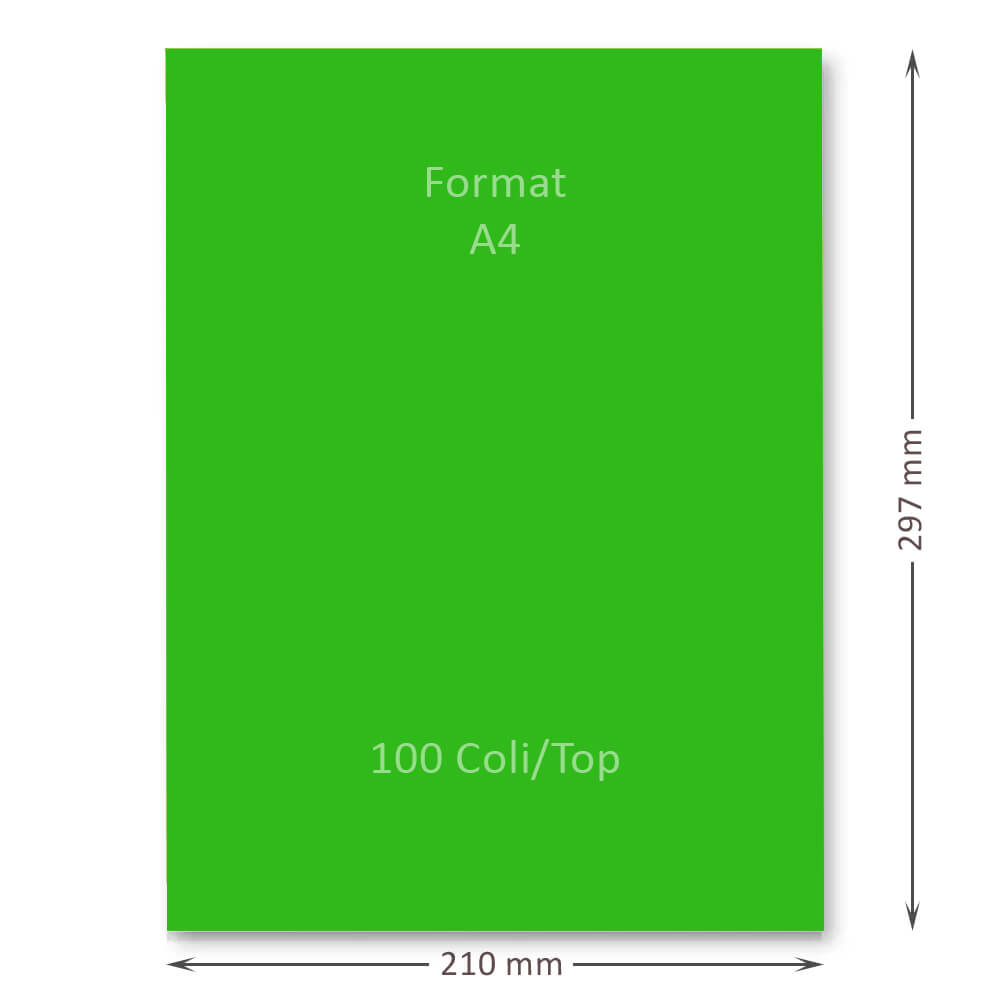 Hartie Cartonata A4 GOLDPAPER, 100 Coli/Top, Verde, 160 g/mÂ², 297x210 mm, Hartie Cartonata Verde A4, Hartie Cartonata Decorativa, Hartie Cartonata pentru Invitatii, Hartie Cartonata Groasa, Hartie Cartonata Colorata, Top Hartie Cartonata