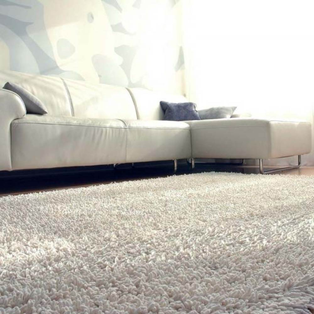 Detergent Sucitesa pentru Covoare Aquagen SX BP5, 5 L Detergent Sucitesa pentru Covoare Aquagen SX BP5, 5 L