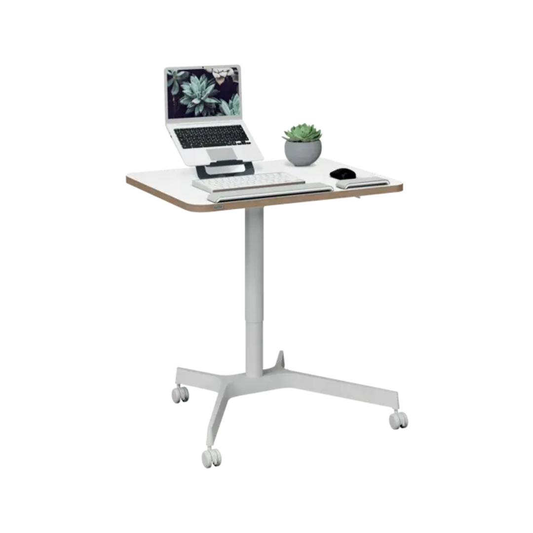 Birou Ergonomic Leitz Ergo, Pneumatic, Ajustabil Pe Inaltime, Pentru Pozitia Sezut/in Picioare, Alb