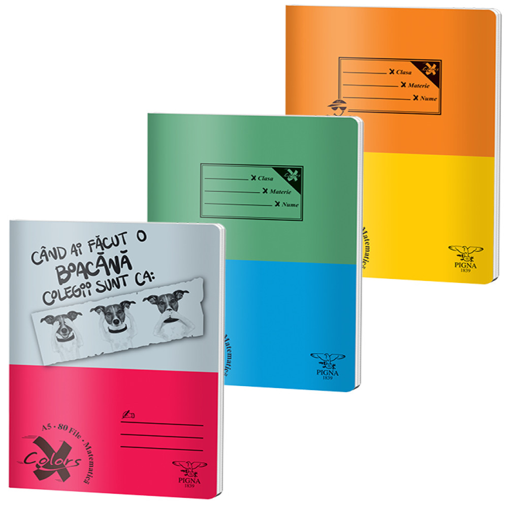 Caiet A5 80 File Aritmetica Basic Pigna