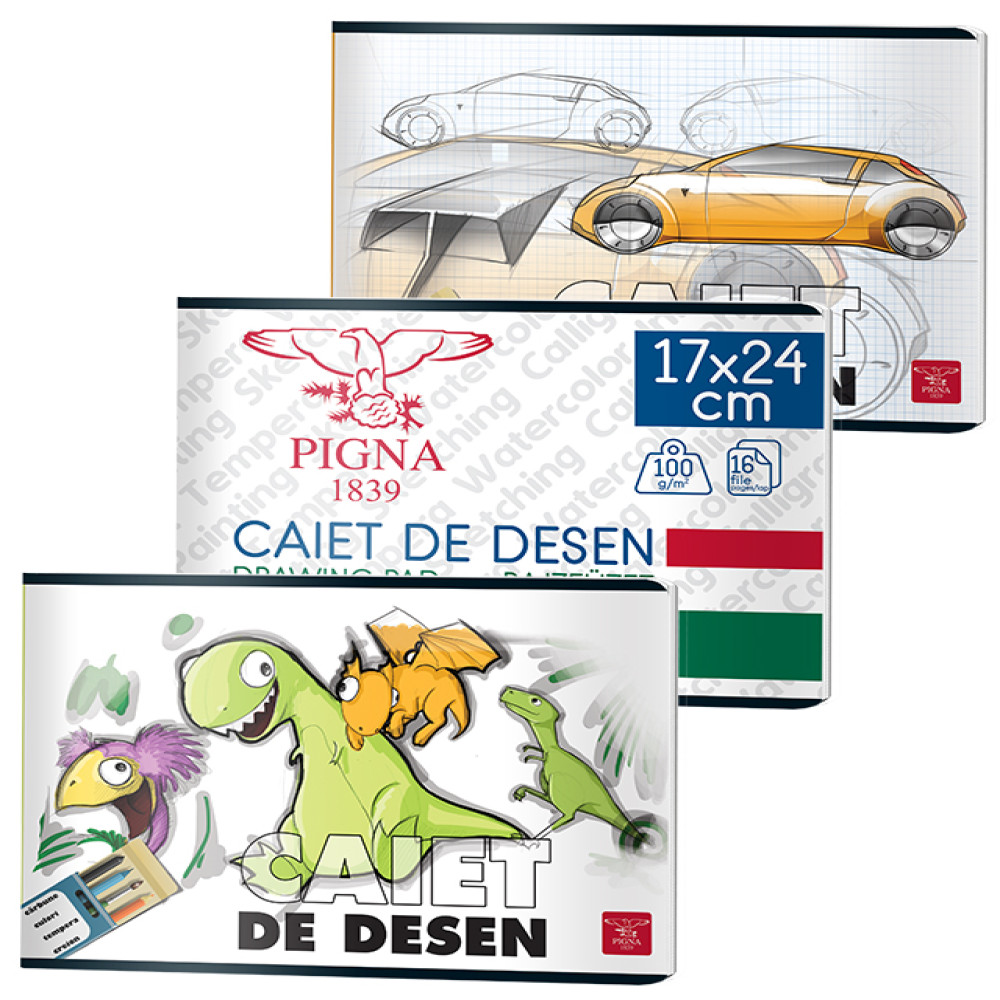 Caiet Desen 16 File 110g Pigna
