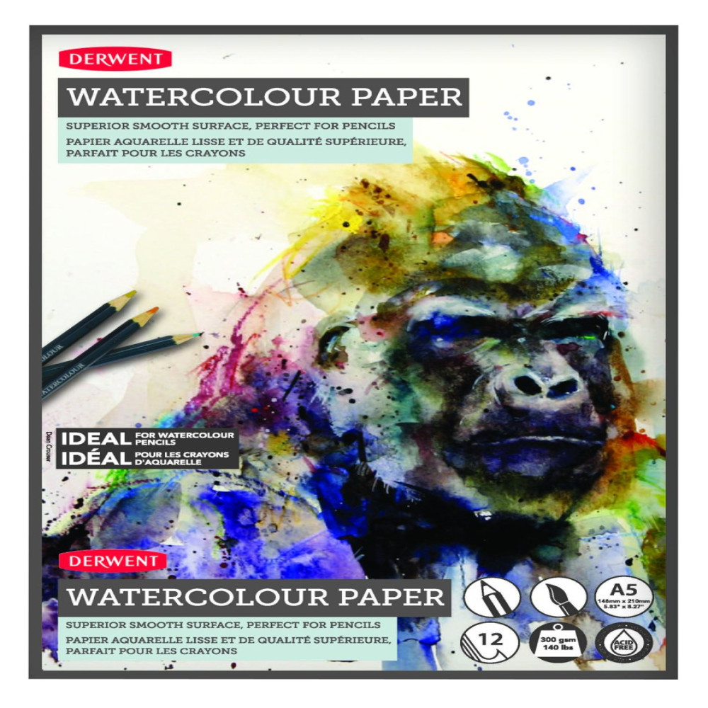 Caiet Desen A5 12 File 300g Pe Baza De Apa Professional Derwent