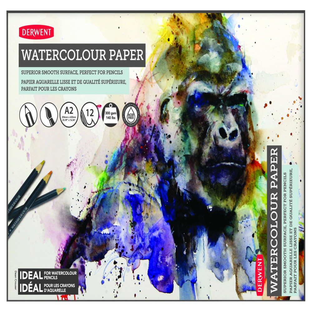 Bloc Desen A2 300g 12 File Baza Apa Proffesional Derwent
