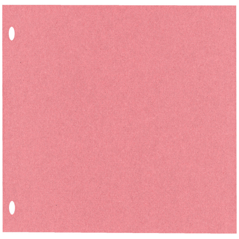 Separatoare Carton 105*240 Mm Rosii Esselte