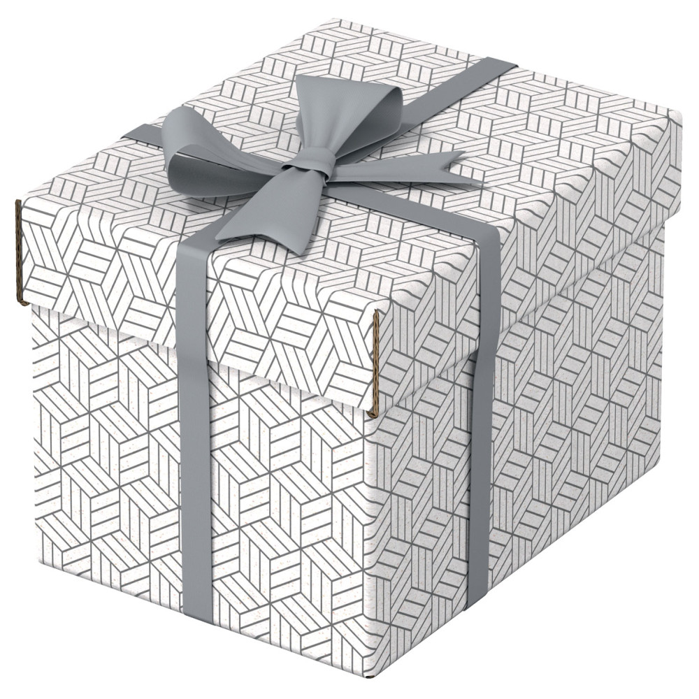 Cutie Depozitare Cu Capac 25 X 20 X 15 Cm Alba Recycled Esselte
