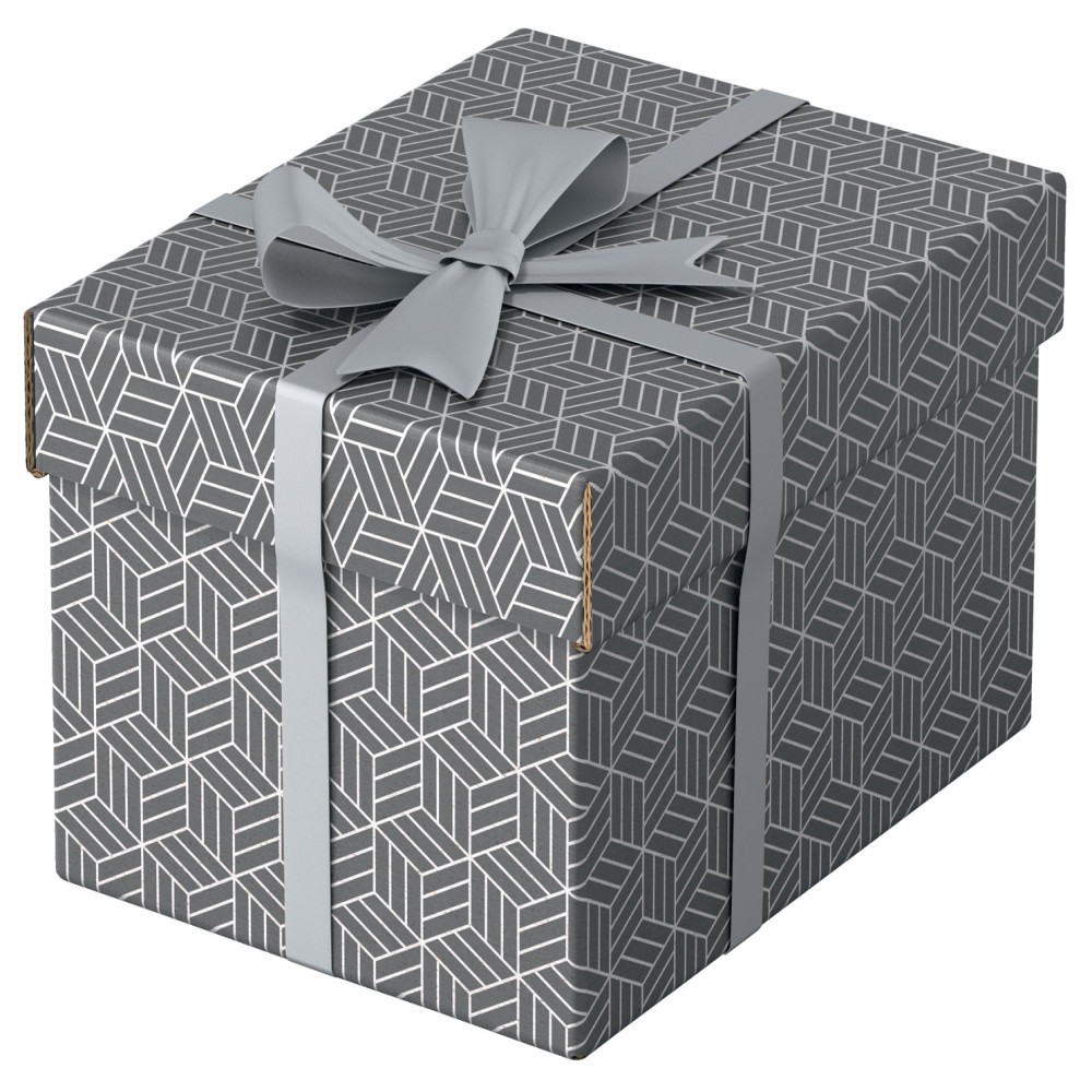 Cutie Depozitare Cu Capac 25 X 20 X 15 Cm Gri Recycled Esselte