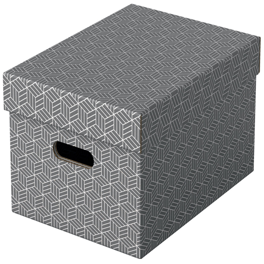 Cutie Depozitare Cu Capac 36 X 26 X 20cm Gri Recycled Fsc 3/set Esselte