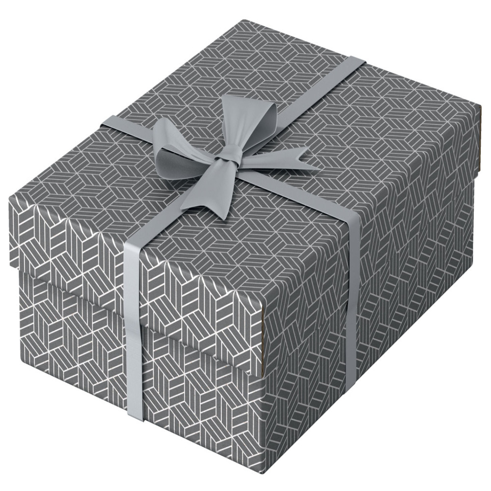 Cutie Depozitare Cu Capac 36 X 26 X 10 Cm Gri Recycled Esselte