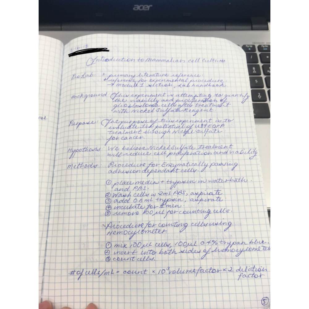 Pix Albastru de Unica Folosinta Faber-Castell Trilux 032M, Pix Clasic, Pixuri Clasice, Pixuri Albastre, Pix Faber-Castell, Pix cu Bila, Pix cu Pasta Albastra, Pixuri Faber-Castell, Pixuri Scriere, Pix Scriere, Pix Cerneala Albastra