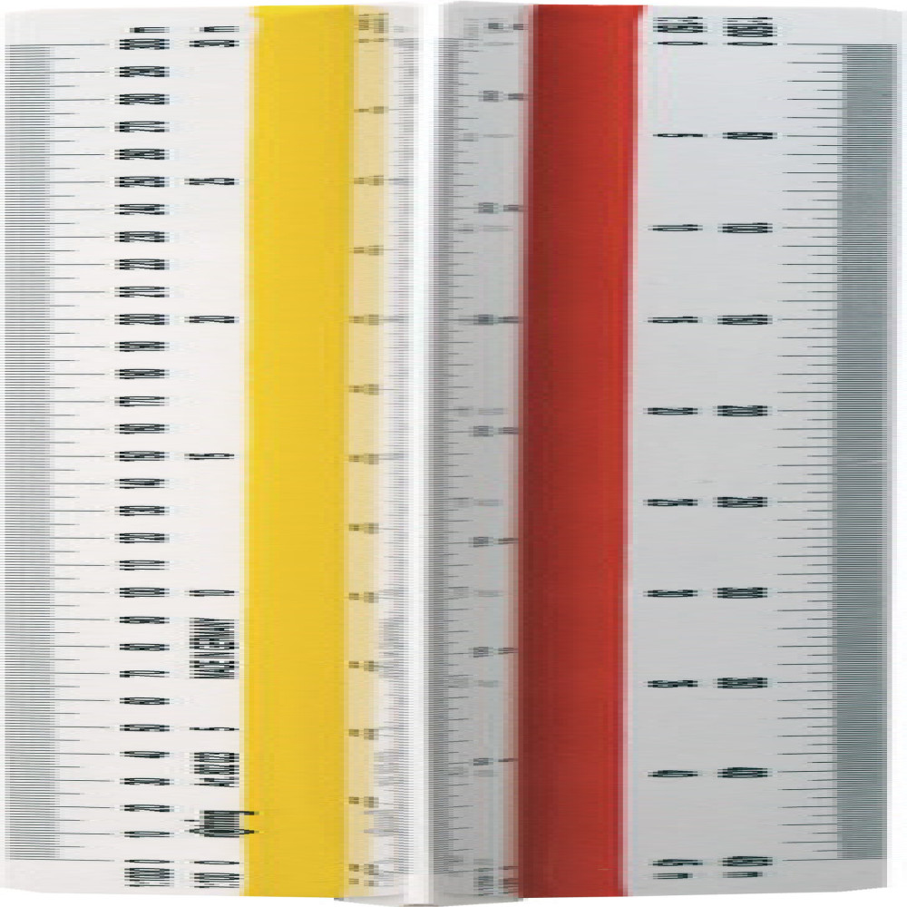 Scarar Topograf T6 Rotring