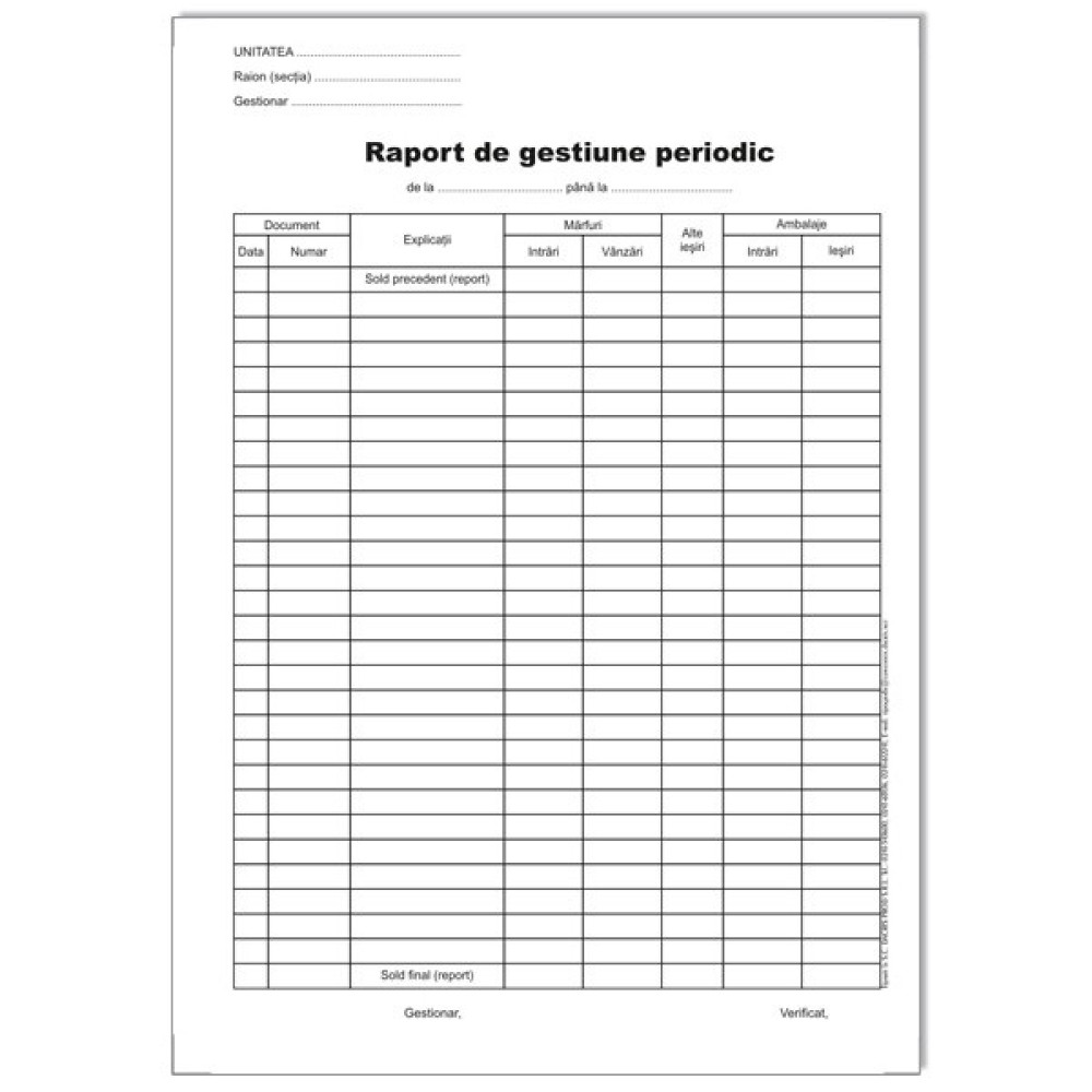 Raport De Gestiune Periodic
