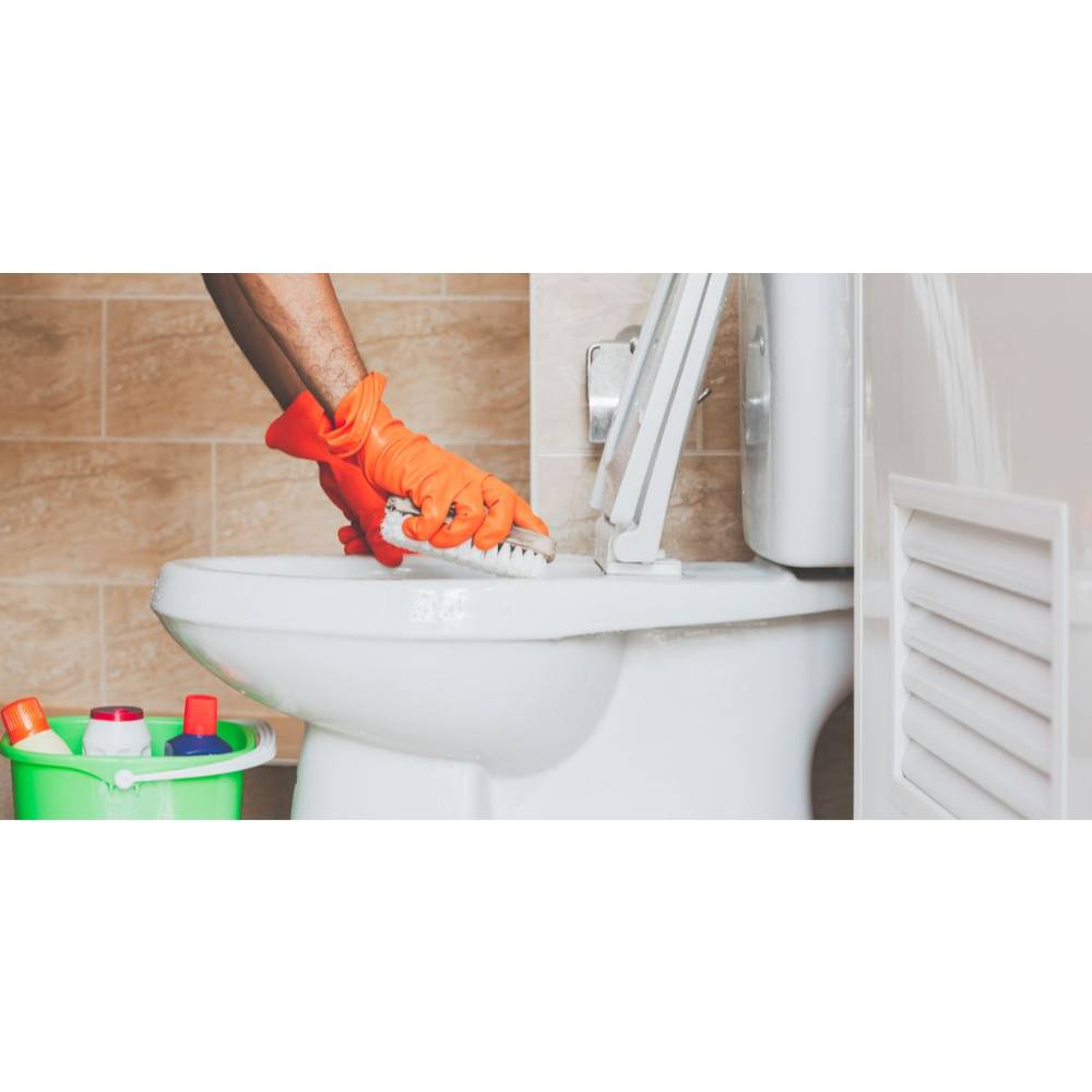 Detartrant Toaleta Dr. Stephan WC Power, 750 ml, Detartrant WC, Detartranti Toaleta, Detartranti WC, Solutie Detartranta Toaleta, Solutie Detartranta WC, Dezinfectant pentru Toaleta, Dezinfectant de Toaleta, Dezinfectant WC, Antitartru WC Detartrant Toaleta Dr. Stephan WC Power, 750 ml, Detartrant WC, Detartranti Toaleta, Detartranti WC, Solutie Detartranta Toaleta, Solutie Detartranta WC, Dezinfectant pentru Toaleta, Dezinfectant de Toaleta, Dezinfectant WC, Antitartru WC