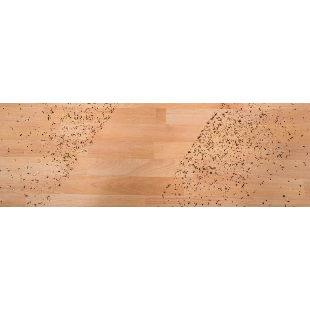 Matura Brilli Tina, Fara Coada, Mov, Interior si Exterior, Matura Fara Coada Brilli Tina, Matura Interior, Maturi Interior, Rezerva Matura, Matura de Interior, Matura pentru Interior, Rezerva Matura Universala, Rezerva Universala de Matura