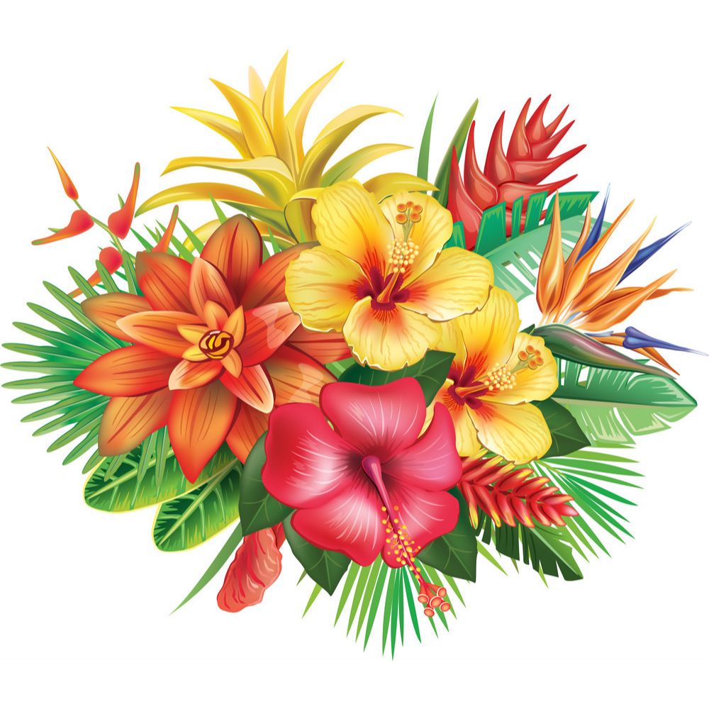 Odorizant Profesional de Baie Dr. Stephan, cu Pulverizator, Aroma Tropical, 1 L