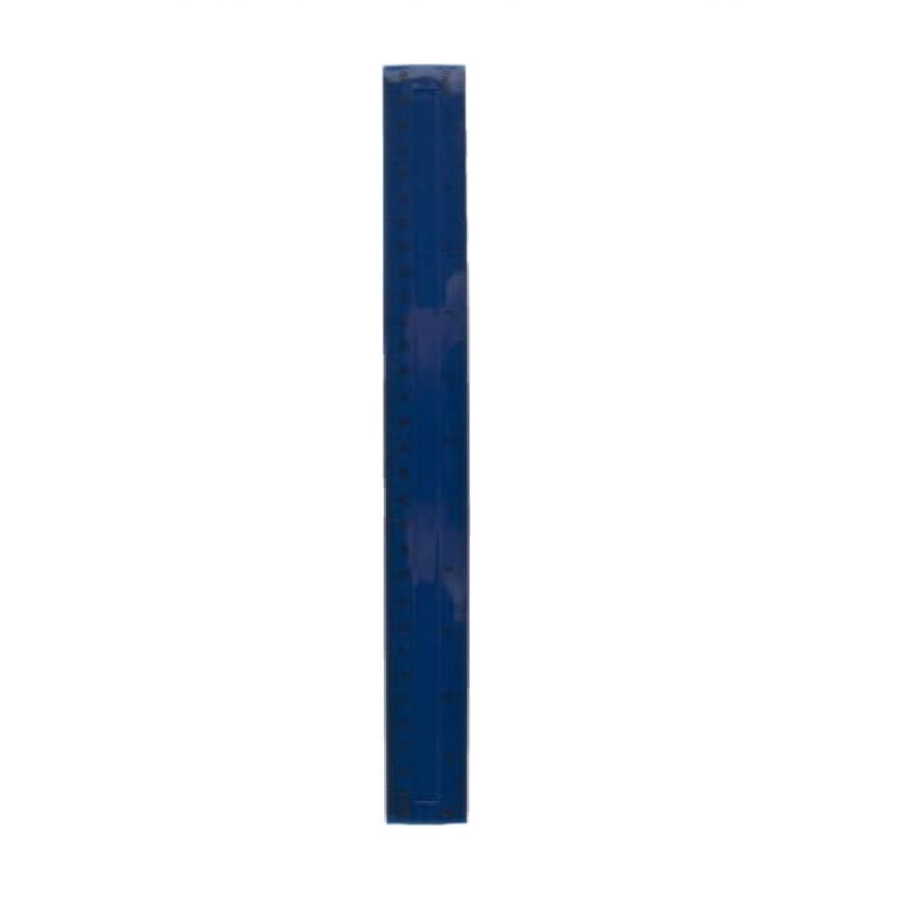 Rigla Albastra din Plastic Color Mat, 30 cm - Rechizite Scolare Rigla Albastra din Plastic Color Mat, 30 cm - Rechizite Scolare