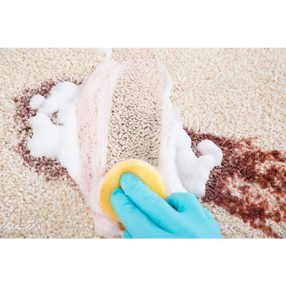 Sampon pentru Covoare Biocarpet, 500 ml, Parfum Floral, Sampon de Covoare, Sampoane pentru Covoare, Sampoane de Covoare, Solutie de Covoare, Solutii de Covoare, Solutie Curatat Covoare, Solutii Curatat Covoare, Detergenti Covoare Sampon pentru Covoare Biocarpet, 500 ml, Parfum Floral, Sampon de Covoare, Sampoane pentru Covoare, Sampoane de Covoare, Solutie de Covoare, Solutii de Covoare, Solutie Curatat Covoare, Solutii Curatat Covoare, Detergenti Covoare