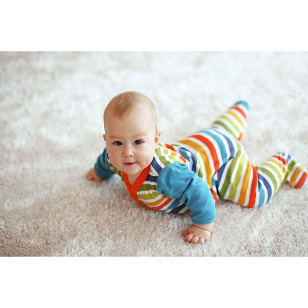 Sampon pentru Covoare Biocarpet, 500 ml, Parfum Floral, Sampon de Covoare, Sampoane pentru Covoare, Sampoane de Covoare, Solutie de Covoare, Solutii de Covoare, Solutie Curatat Covoare, Solutii Curatat Covoare, Detergenti Covoare Sampon pentru Covoare Biocarpet, 500 ml, Parfum Floral, Sampon de Covoare, Sampoane pentru Covoare, Sampoane de Covoare, Solutie de Covoare, Solutii de Covoare, Solutie Curatat Covoare, Solutii Curatat Covoare, Detergenti Covoare