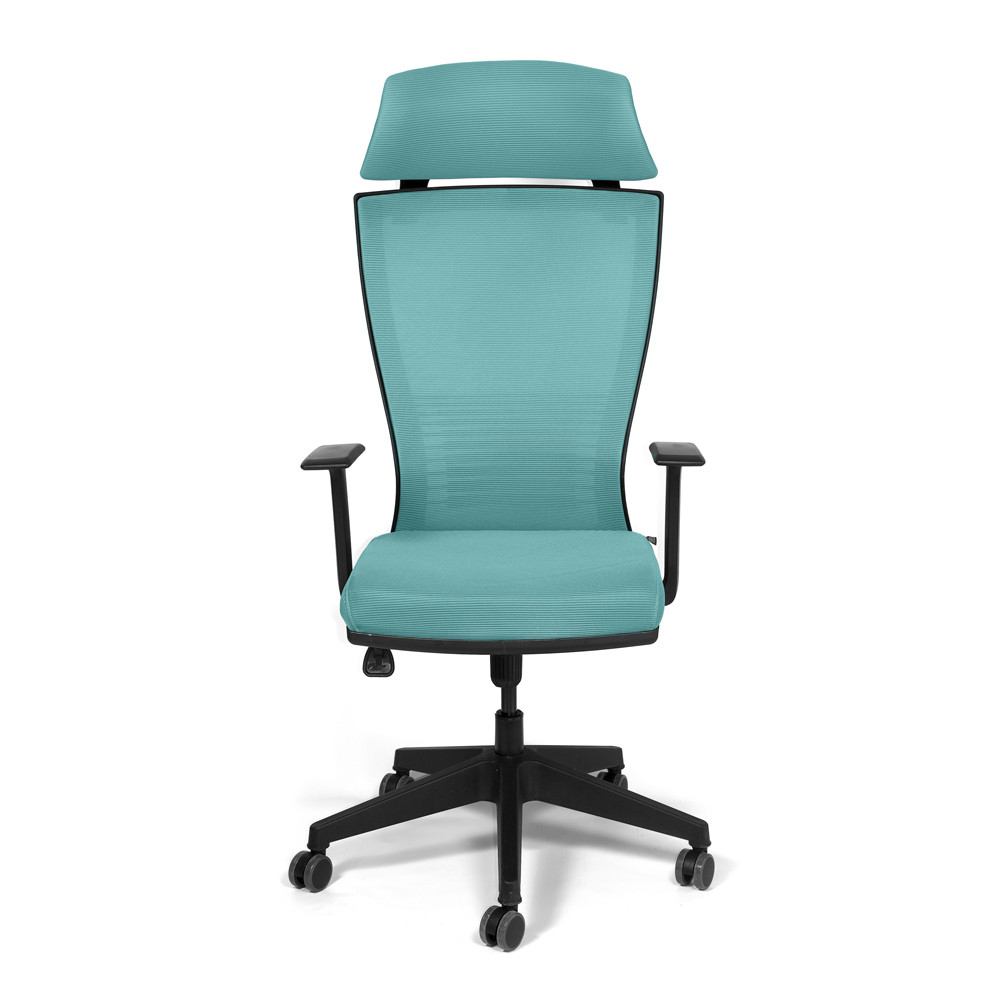 Scaun Birou Udine, Turcoaz