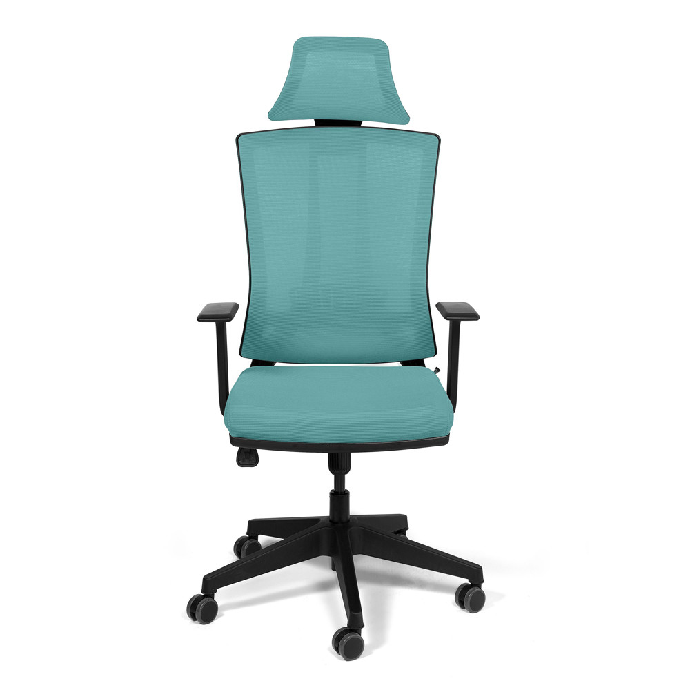 Scaun Birou Genova, Turcoaz