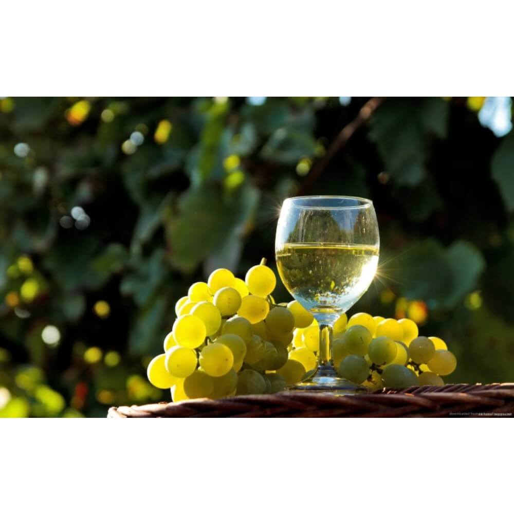 Vin Alb Sec Jidvei Tezaur Sauvignon Blanc si Feteasca Regala, 0.75 L, 12% Alcool, Vin Jidvei, Vin Alb Jidvei, Vin Sec Jidvei, Vin Jidvei Tezaur SV FR, Cupaj Vin Jidvei Sauvignon Blanc, Cupaj Vin Sauvignon Blanc Jidvei, Cupaj Vin Jidvei Feteasca Regala
