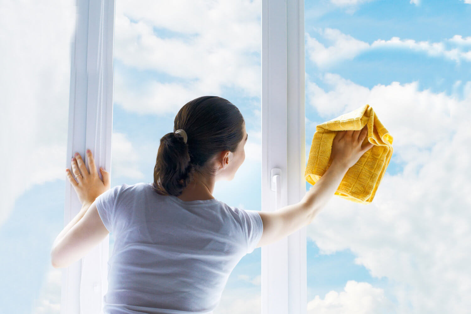 Detergent ECOLAB Clinil, 1 L Ideal pentru Curatarea Sticlei, Solutie Curatat Geamuri, Solutie Curatat Sticla, Detergent de Geamuri, Solutie Spalat Geamuri, Solutie Oglinzi, Detergent Oglinzi, Detergent pentru Sticla, Solutii si Produse de Curatenie