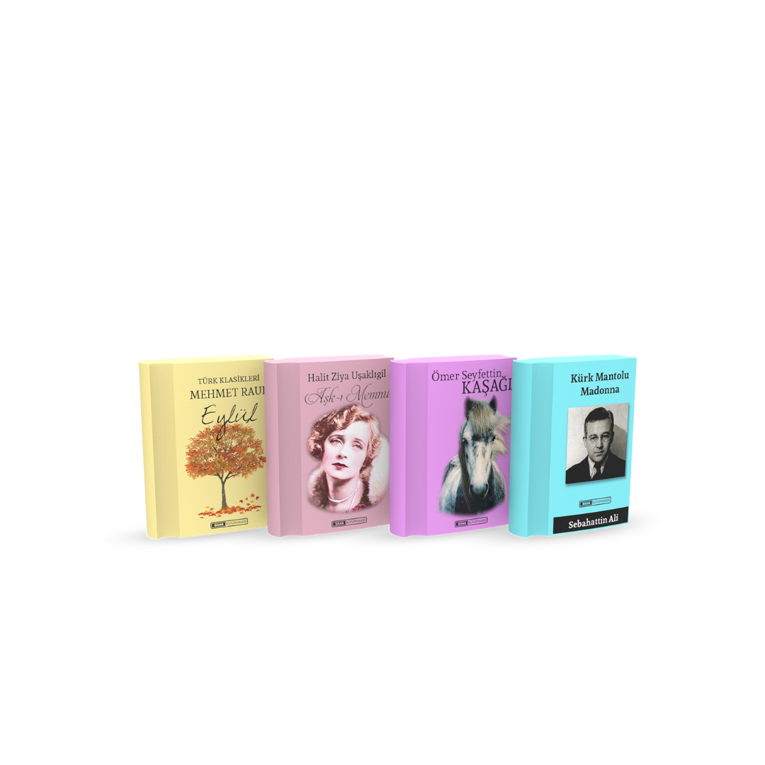 Cutie Cu Radiere Pt Creion, Nu Lasa Reziduuri, 36buc/cutie, Silka Library Pastel - Design Carti De C